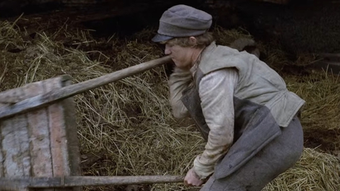 Udvandrerne (1971) og Nybyggerne (1972) er blevet vist i serieform på dansk tv. I dag er de tilgængelige på Netflix.