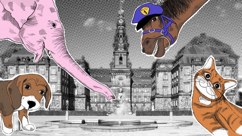 Illustration: Nynne Crüger