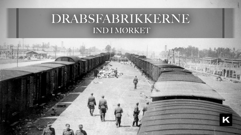 Nyankommen transport i Auschwitz-Birkenau i maj/juni 1944 ('The Aushcwitz Album')