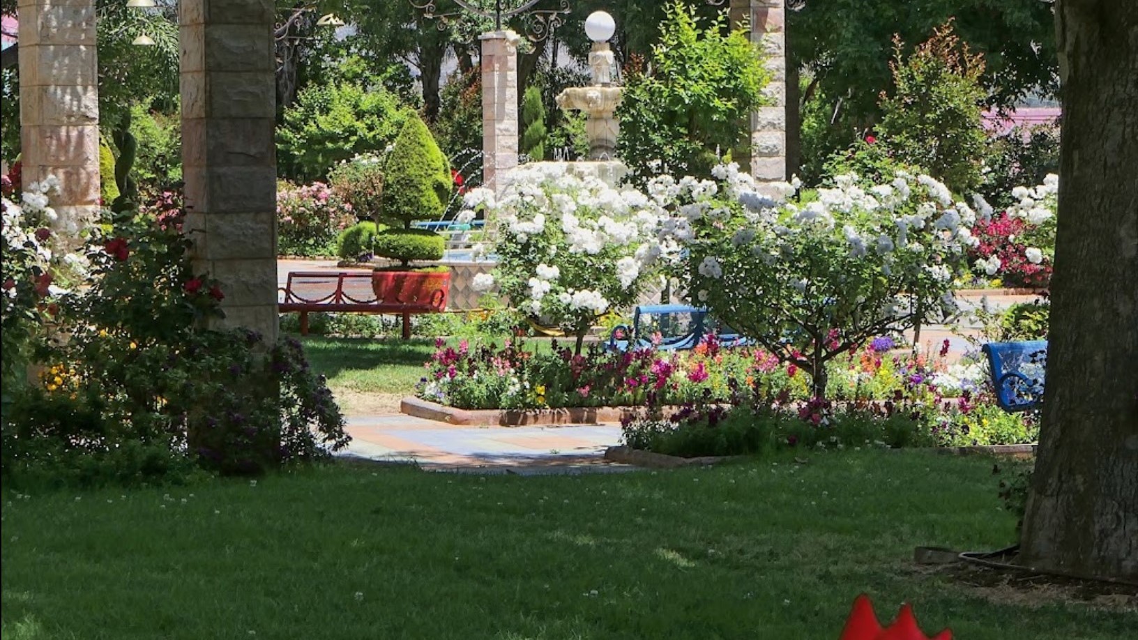 Frdens Have skal vandes hver dag